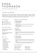 Executive CV Template
