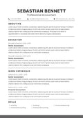 Modern CV Template